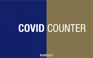 COVID Counter