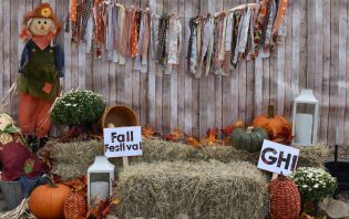 Fall Festival