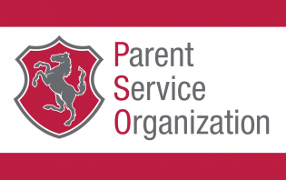 Parent Service Organization