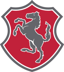 irving mascot