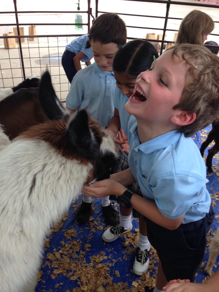 Celebrations Great Hearts Irving Serving Grades K 12 celebrations-great-hearts-irving-serving-grades-k-12
